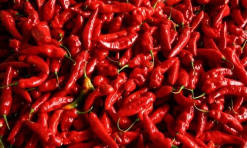 Использование кайенского перца для похудения